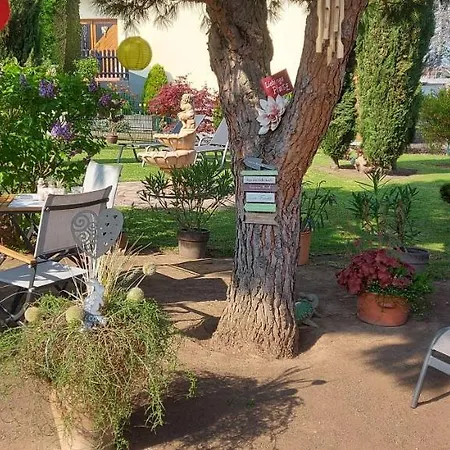 Pfalz-apartment Mein - Einzigartig In
