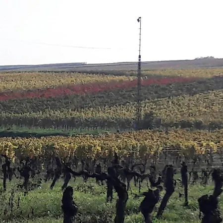 Apartamento Pfalz-apartment Mein - Einzigartig In Grosskarlbach