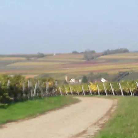 Daire Pfalz-apartment Mein - Einzigartig In *