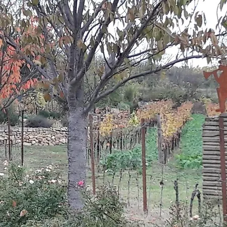 Pfalz-apartment Mein - Einzigartig In Daire *