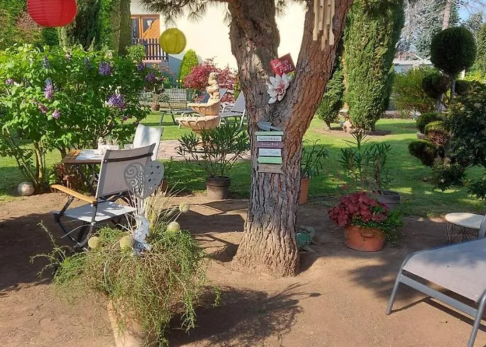 Pfalz-apartment Mein - Einzigartig In