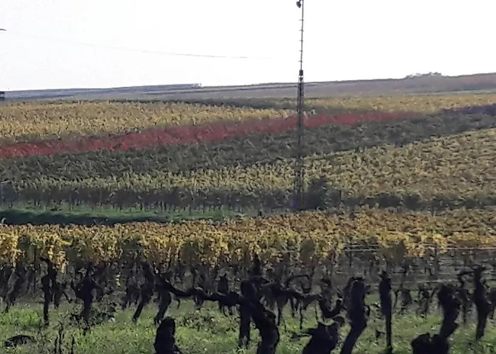 Lägenhet Pfalz-apartment Mein - Einzigartig In Grosskarlbach