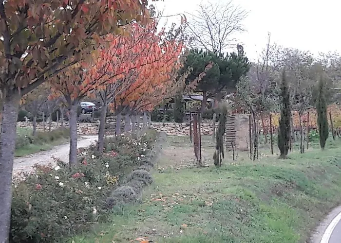 Pfalz-apartment Mein - Einzigartig In Grosskarlbach