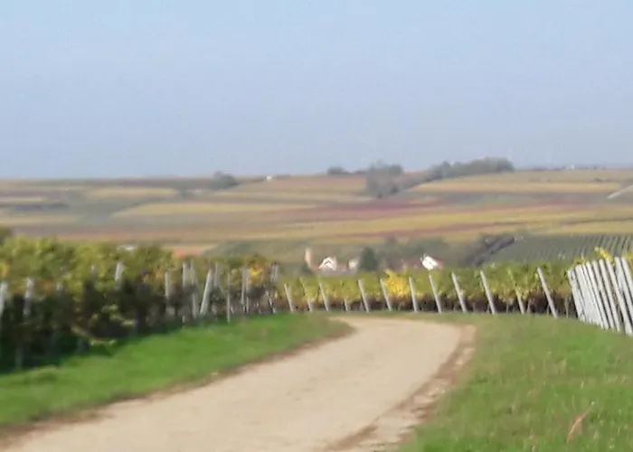 Lägenhet Pfalz-apartment Mein - Einzigartig In *