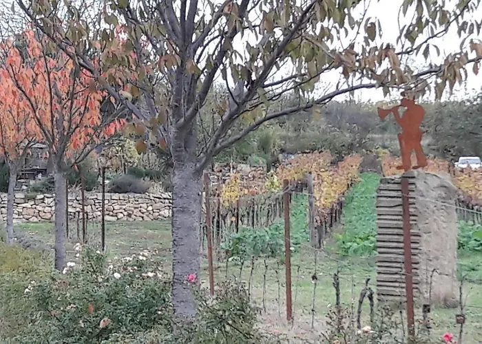 Pfalz-apartment Mein - Einzigartig In Lägenhet *